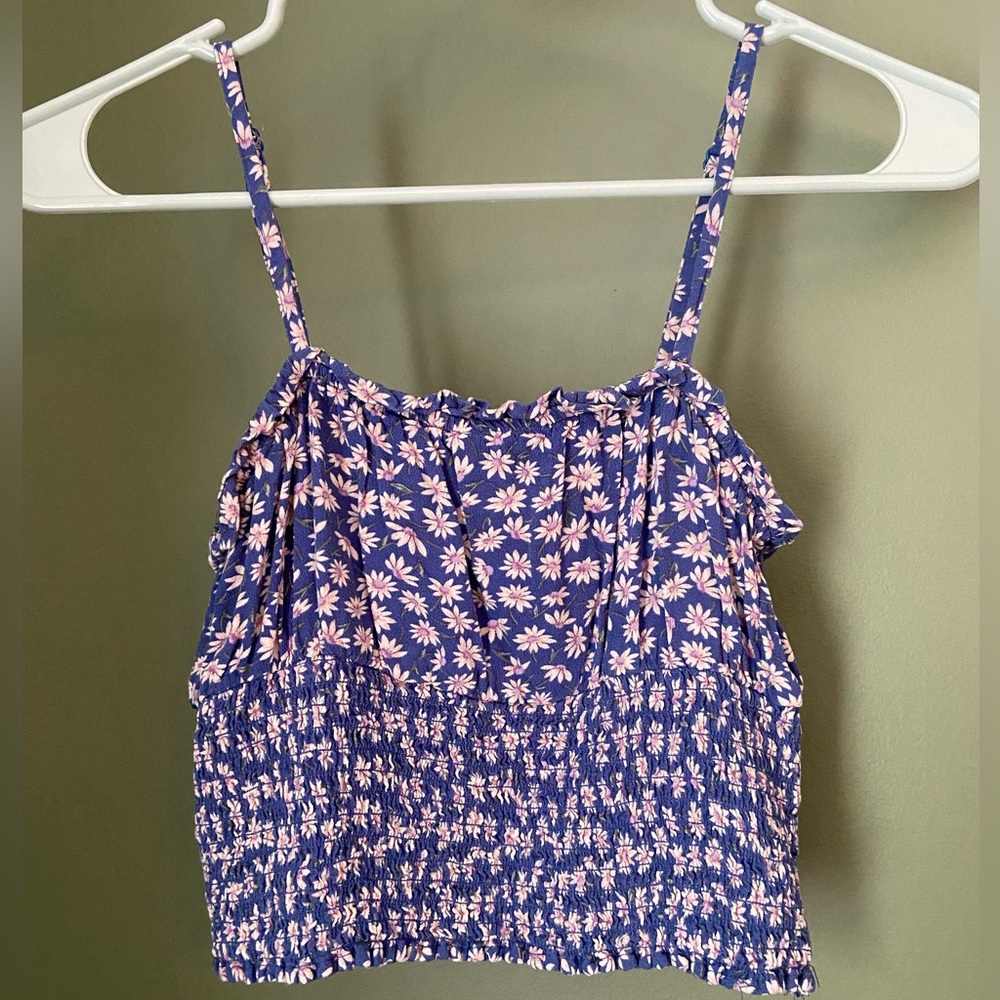 American Eagle Outfitters Floral Camisole in Blue and Pink